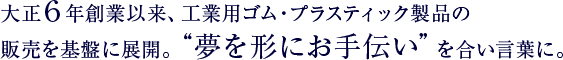 大正６年創業以来、工業用ゴム・プラスティック製品の販売を基盤に展開。“夢を形にお手伝い”を合い言葉に。